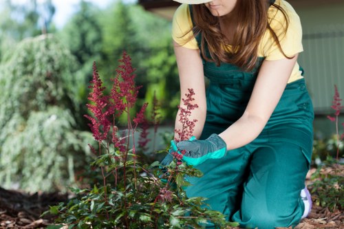 Healthy green grass being mowed by experts